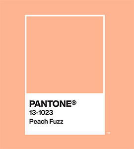 A Pantone swatch with outline PANTONE 13-1023 Peach Fuzz